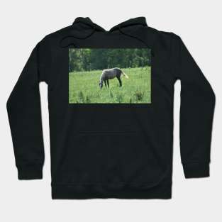 Colt Hoodie